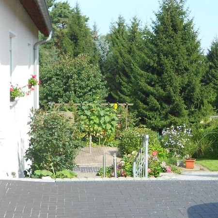 Apartmán Crosta Brava Grossdubrau Exteriér fotografie